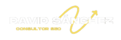 Logo David Sánchez Navarro Consultor Seo